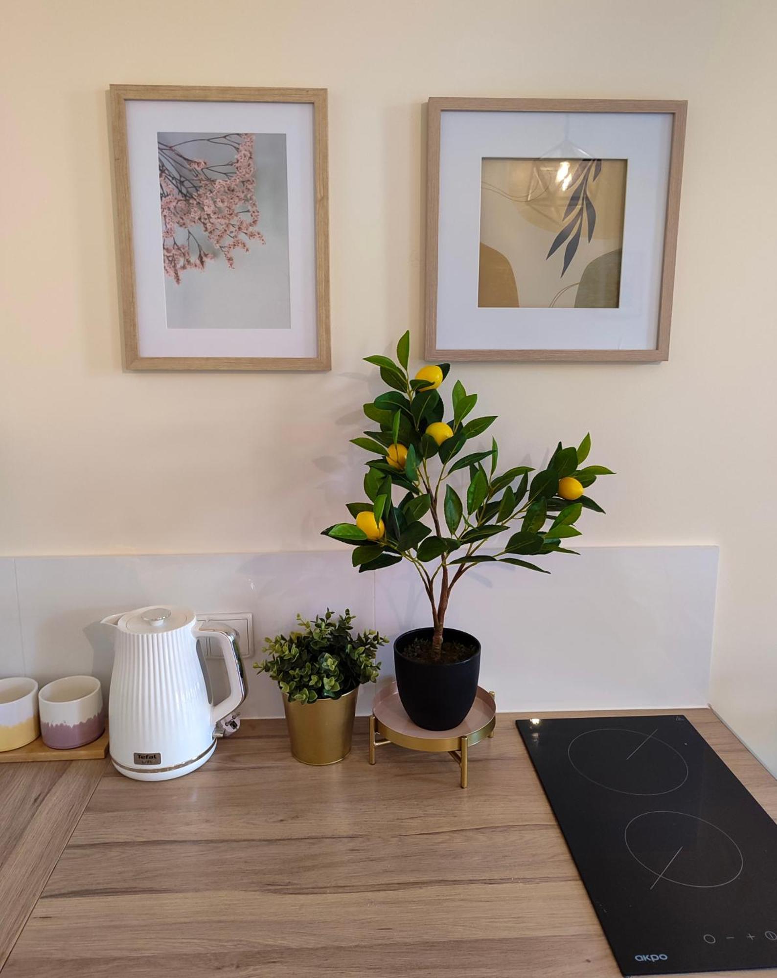 Apartamenty Piekary 11 Przy Wisle By Rentoom ทอรูน ภายนอก รูปภาพ